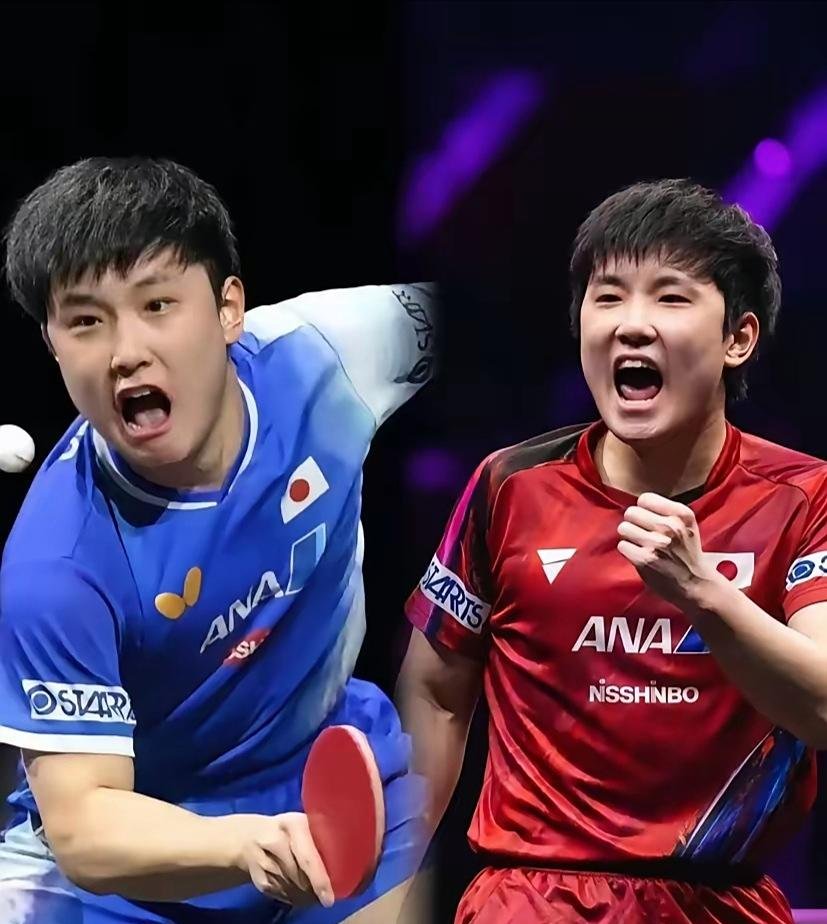 奥地利队碾压瑞典队，张本智和惊艳四座