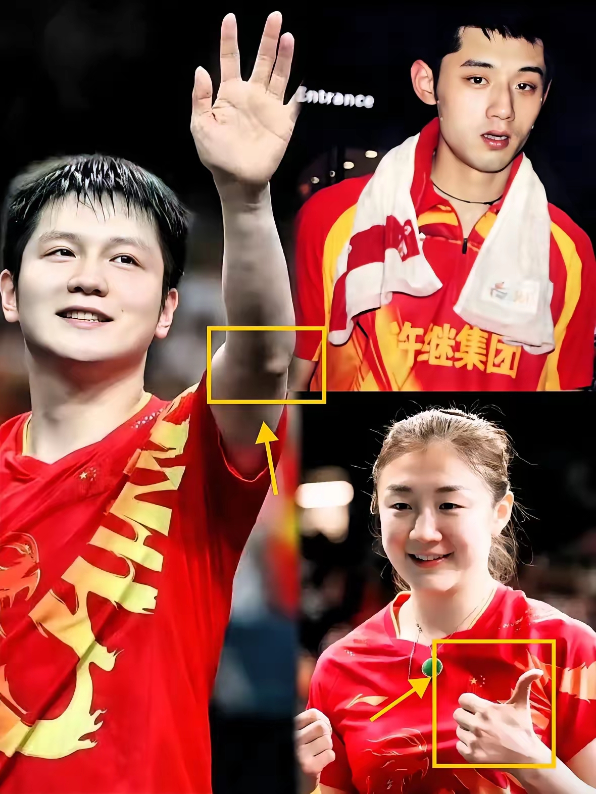 日本队力克波兰队，张继科惊艳四座