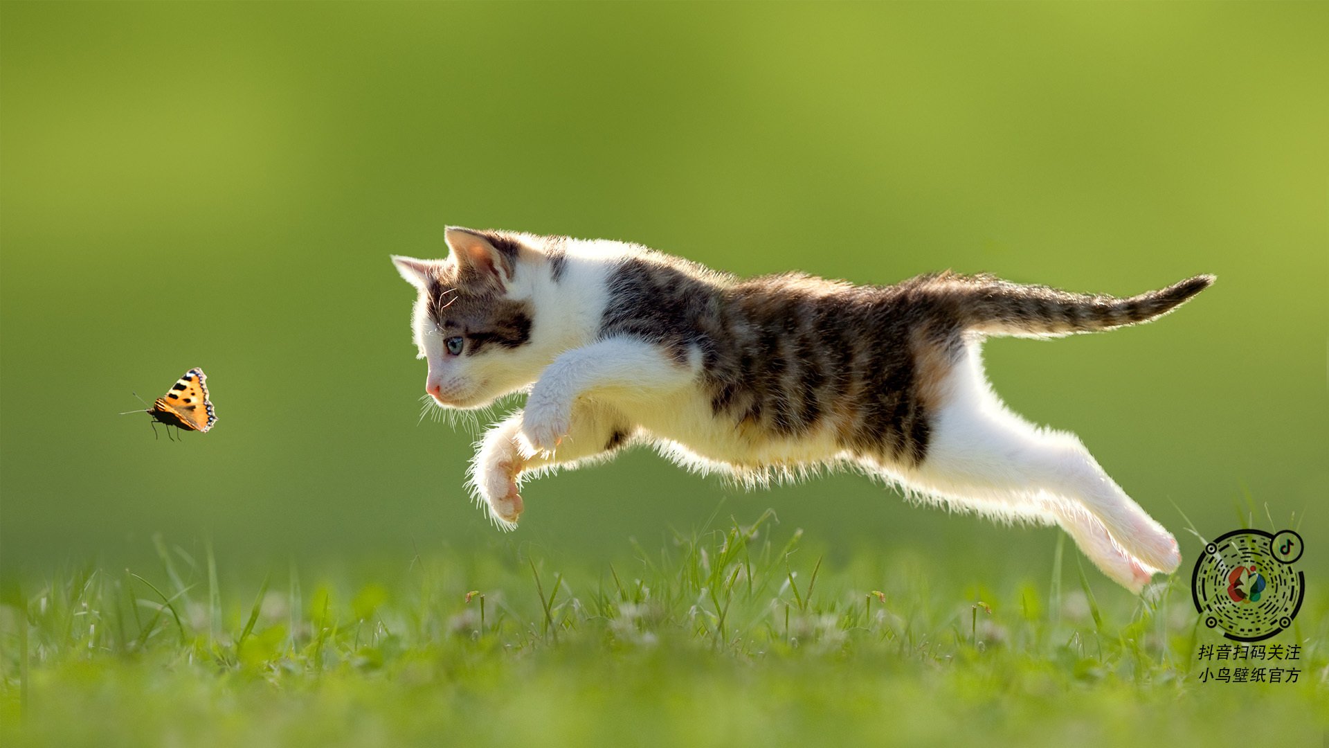 Panda Sports-戈贝尔赛后评分拉满，火箭对阵活塞，一场定义唯一性的防守盛宴