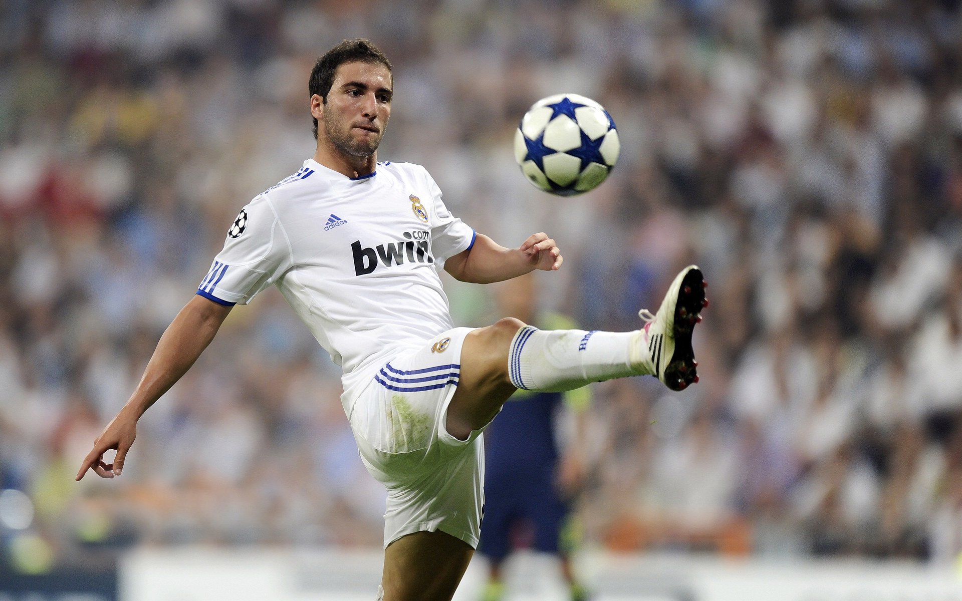 库里封神夜，骑士铁蹄难越，勇士王座再固