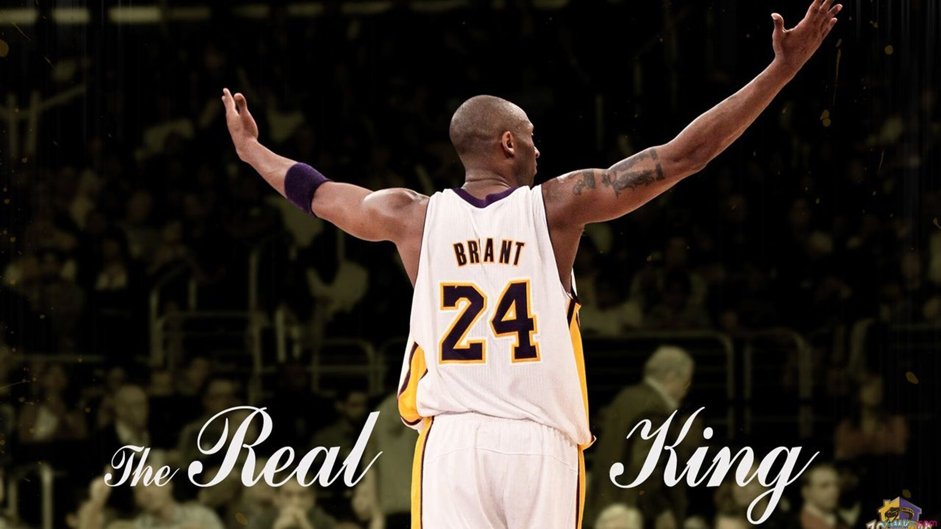 欧冠决赛之夜，福克斯攻防两端的绝对统治